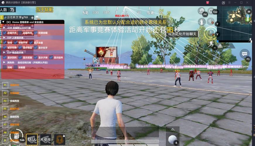 和平精英《火锅》辅助